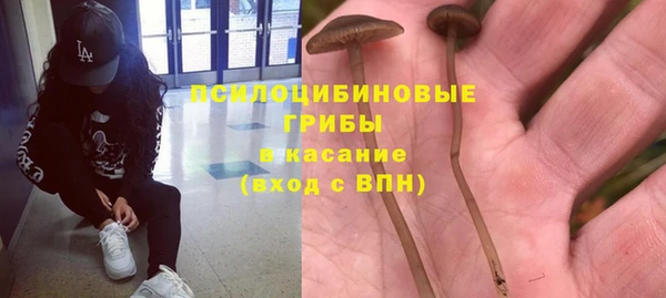 ГАЛЛЮЦИНОГЕННЫЕ ГРИБЫ Алексин