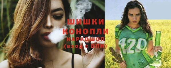 ГАЛЛЮЦИНОГЕННЫЕ ГРИБЫ Алексин
