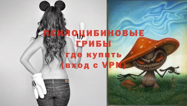 ГАЛЛЮЦИНОГЕННЫЕ ГРИБЫ Алексин