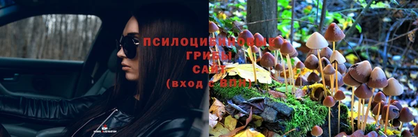кокс Алзамай
