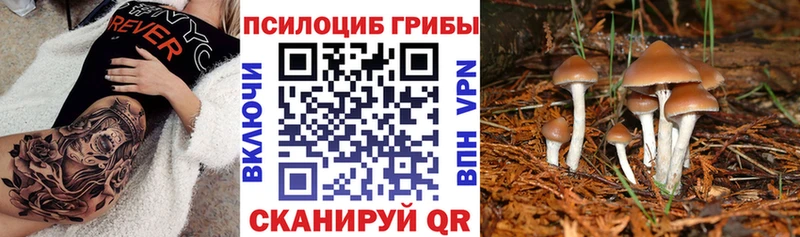 Псилоцибиновые грибы мицелий Анжеро-Судженск