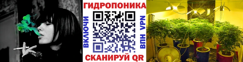 хочу   ссылка на мегу ТОР  Бошки марихуана Bruce Banner  Анжеро-Судженск 